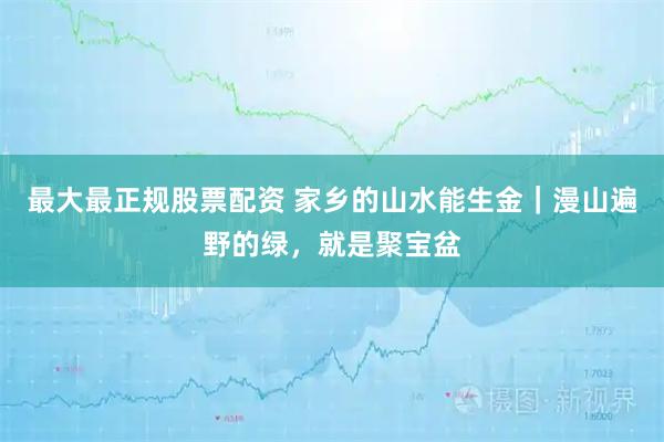 最大最正规股票配资 家乡的山水能生金｜漫山遍野的绿，就是聚宝盆