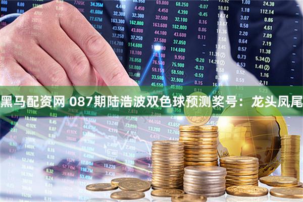 黑马配资网 087期陆浩波双色球预测奖号：龙头凤尾